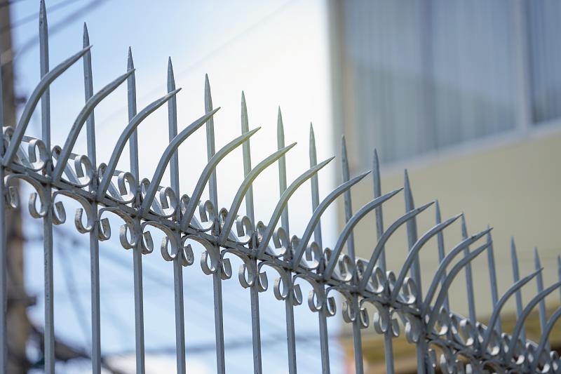 Solutions durables de dépigeonnage pour protéger votre propriété